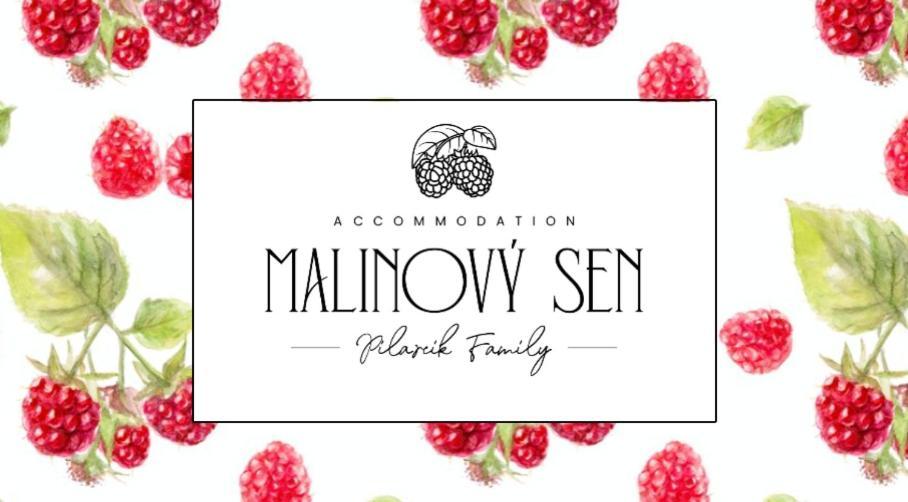 Malinovy Sen II Apartman Habovka Kültér fotó